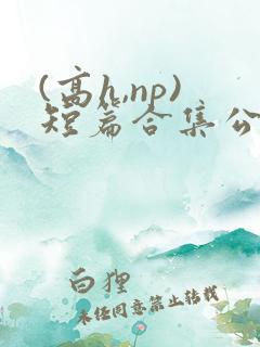 (高h,np)短篇合集公交车