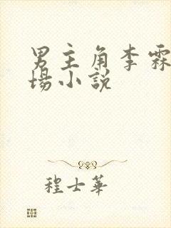 男主角李霖的官场小说