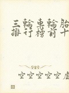 三轮车轮胎品牌排行榜前十名
