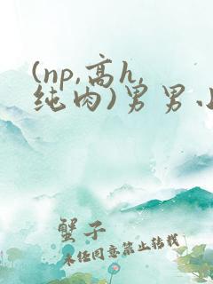 (np,高h,纯肉)男男小说 (np,高h,纯肉)男男小说