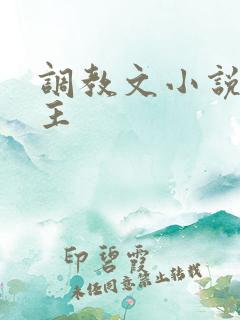 调教文小说双男主