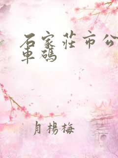 石家庄市公交乘车码 石家庄市公交乘车码