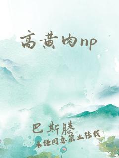 高黄肉np