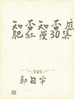 知否知否应是绿肥红瘦30集