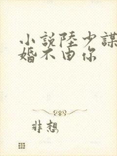 小说陆少谋妻之婚不由你