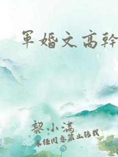 军婚文高干文