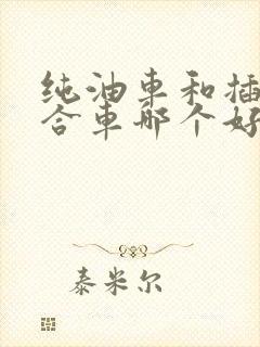 纯油车和插电混合车哪个好