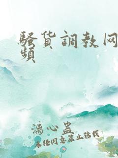 骚货调教网站视频