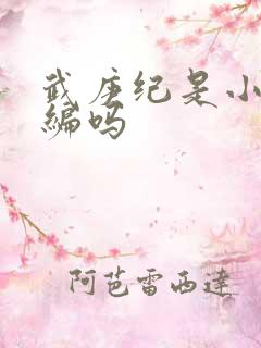 武庚纪是小说改编吗