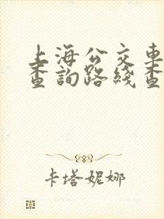 上海公交车换乘查询路线查询