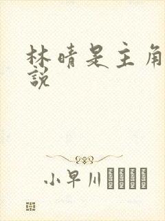 林晴是主角的小说