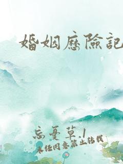 婚姻历险记41