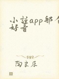 小说app那个好看