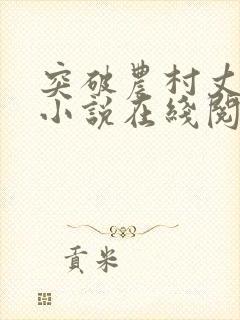 突破农村丈母娘小说在线阅读