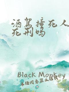 洒驾撞死人会判死刑吗