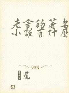 老舍的著名长篇小说有什么