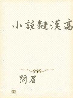 小说糙汉高h