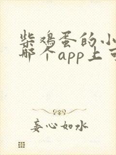 柴鸡蛋的小说在哪个app上可以下载