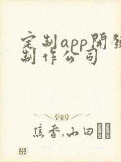 定制app开发制作公司