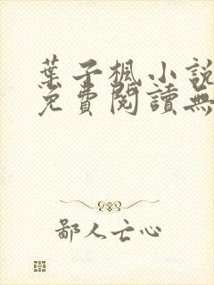 叶子枫小说全文免费阅读无弹窗