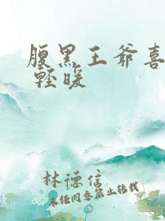 腹黑王爷喜当爹 轻暖