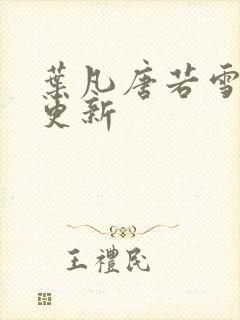 叶凡唐若雪王婿更新