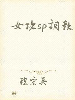 女攻sp调教文