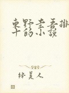 东野圭吾排名前十的小说