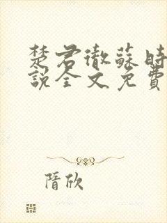 楚君彻苏时锦小说全文免费阅读