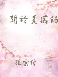 关于美国的小说