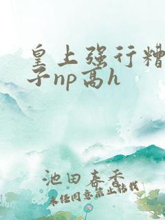 皇上强行糟蹋太子np高h