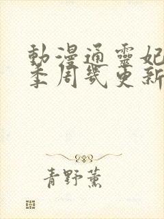 动漫通灵妃第二季周几更新