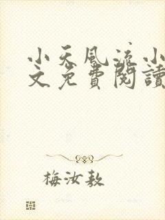 小天风流小说全文免费阅读无弹窗
