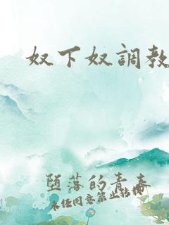 奴下奴调教