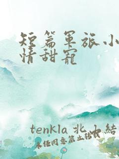 短篇军旅小说言情甜宠
