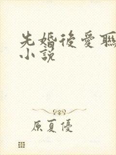 先婚后爱联姻的小说