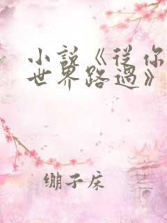 小说《从你的全世界路过》