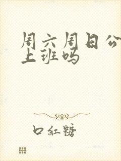周六周日公安局上班吗