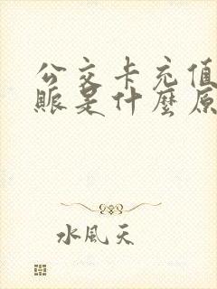 公交卡充值没到账是什么原因