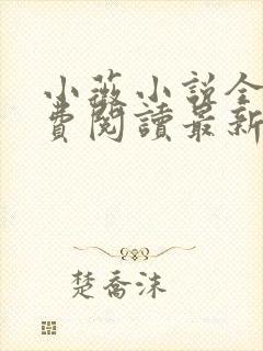小薇小说全文免费阅读最新章节