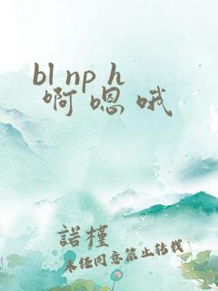 bl np h 啊 嗯 哦