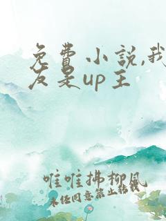 免费小说,我女友是up主