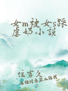 女m被女s踩胸虐奶小说