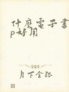 什么电子书app好用