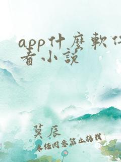 app什么软件看小说 app什么软件看小说