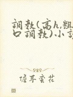 调教(高h,粗口调教)小说