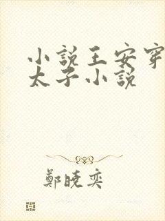 小说王安穿越成太子小说