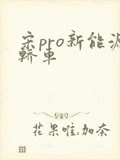 宋pro新能源轿车