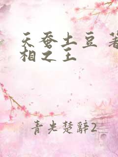 天蚕土豆 著万相之王