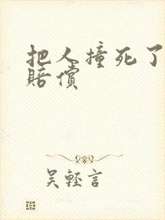 把人撞死了没钱赔偿